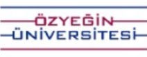 özyeğin